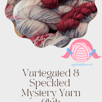 Speckled/Variegated Mystery Yarn Club